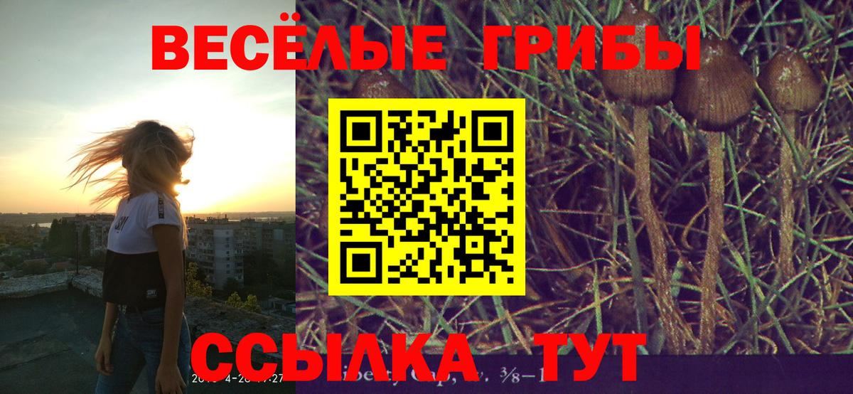 Псилоцибиновые грибы MAGIC MUSHROOMS Сунжа