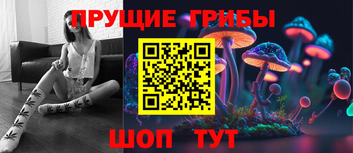 наркотики  Вход с VPN  Сунжа  Псилоцибиновые грибы ЛСД  Галлюциногенные грибы Cubensis 