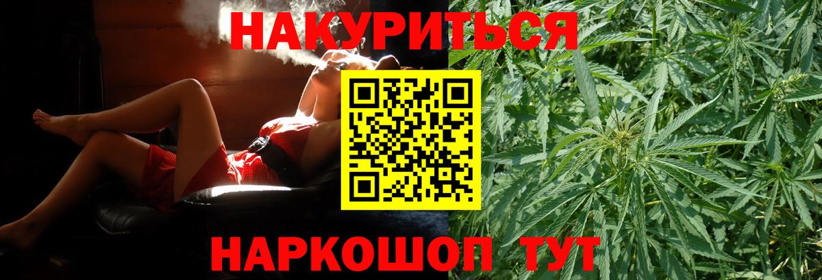 Канабис конопля Сунжа