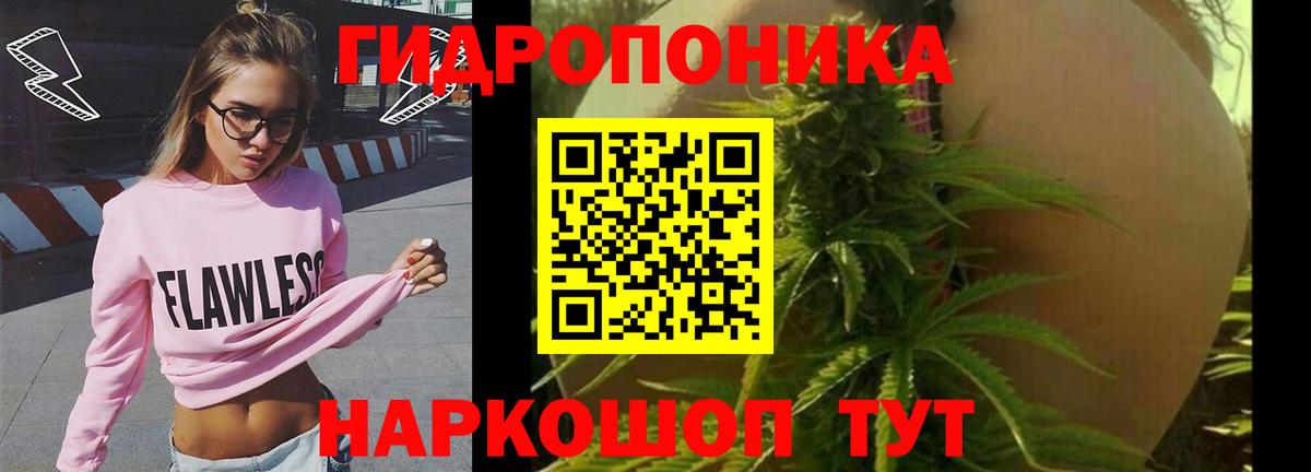 Сунжа  Шишки марихуана конопля  Вход с VPN  Бошки Шишки марихуана 